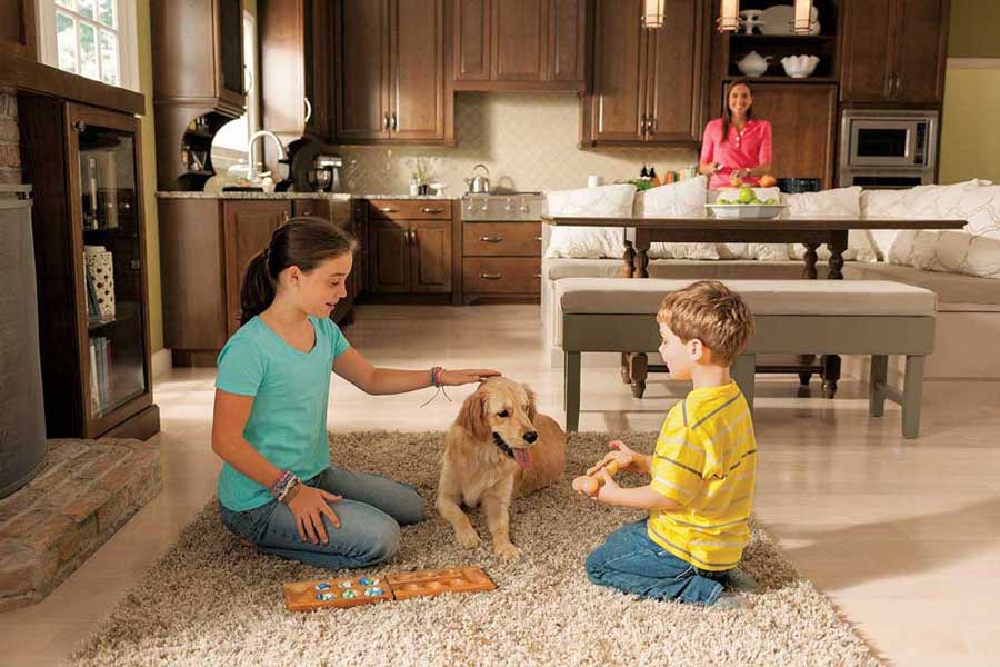 family friendly and dog friendly kitchen designs in allentown pa